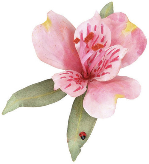 6 Pack - Woodland Scenics Paper Pollen 1oz-Red - T46-47