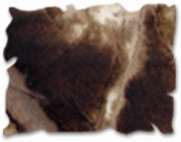 3 Pack - Tim Holtz Distress Pad Reinker-Walnut Stain - DRI-19473