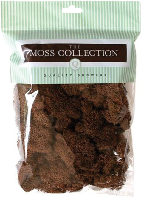 3 Pack Quality Growers Preserved Reindeer Moss 108.5 Cubic Inches-Walnut -QG2053 - 740657238646