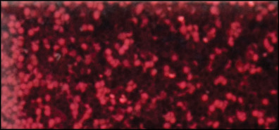 4 Pack - Sulyn Extra Fine Glitter 2oz-Ruby - SUL2FGL-50864