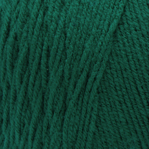 2 Pack - Red Heart Super Saver Jumbo Yarn-Paddy Green - E302C-368