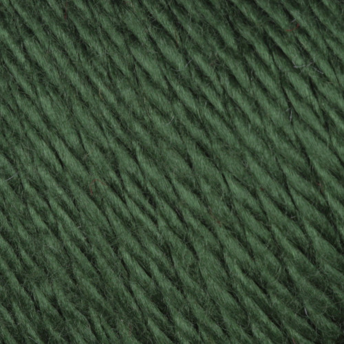 3 Pack - Caron Simply Soft Solids Yarn-Dark Sage - H97003-9707