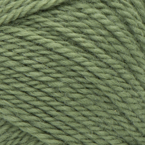 Patons Classic Wool Yarn-Meadow - 244077-77760