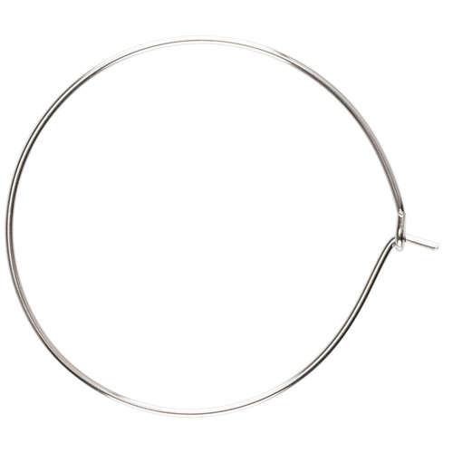 CousinDIY Stainless Steel Elegance Beads & Findings-Earring Hoops 22/Pkg - A50026N1-300