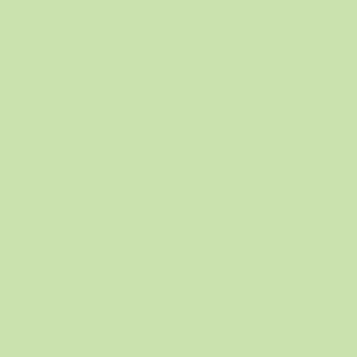 Sculpey Souffle Clay 1.7oz-Pistachio - SU6-6629