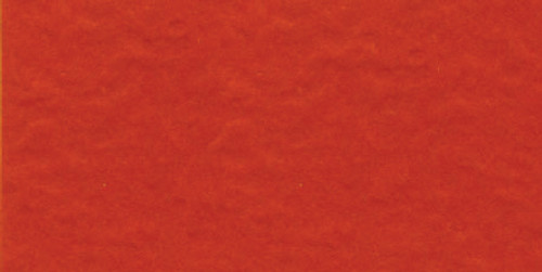 25 Pack Bazzill Fourz Cardstock 12"X12"-Classic Orange/Grasscloth FOURZ12-3634 - 846523036344