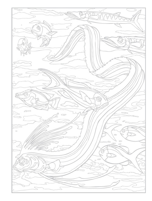 Creative Haven: Sea Life Coloring Book-Softcover - B6797953 Creative Haven: Sea Life Coloring Book-Softcover - B6797953