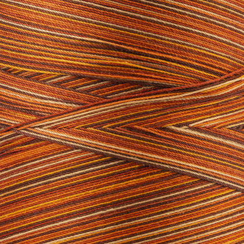 Coats Cotton Machine Quilting Multicolor Thread 1200yd-Autumn V35-0880