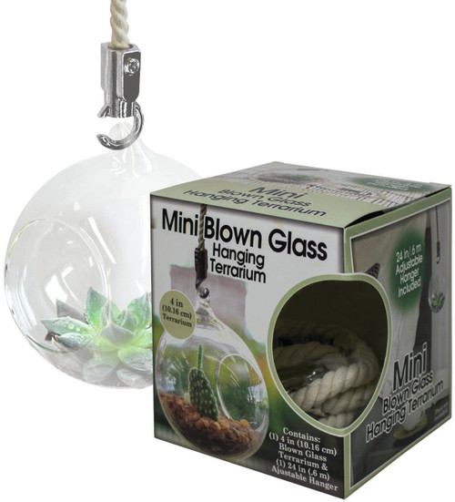 Pepperell Mini Blown Glass Hanging Terrarium- - HGT4IN