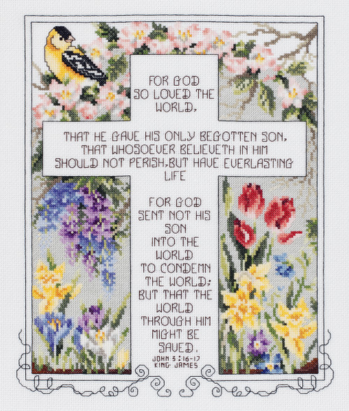 Janlynn Counted Cross Stitch Kit 10.25"X12.25"-John 3:16-17 (14 Count) 80-0476 - 049489804761