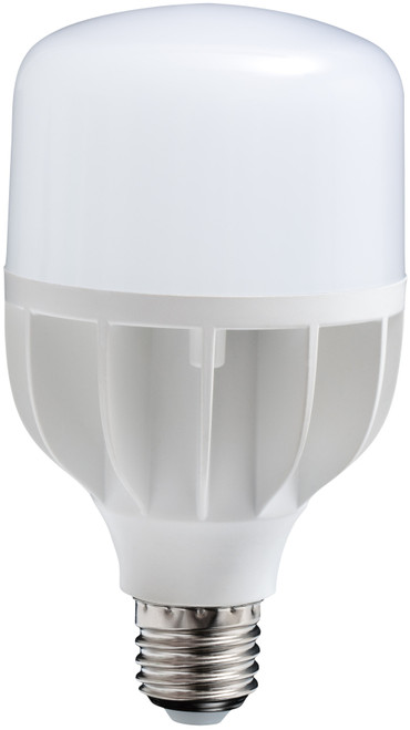 Daylight LED Replacement Bulb-LED -U15800