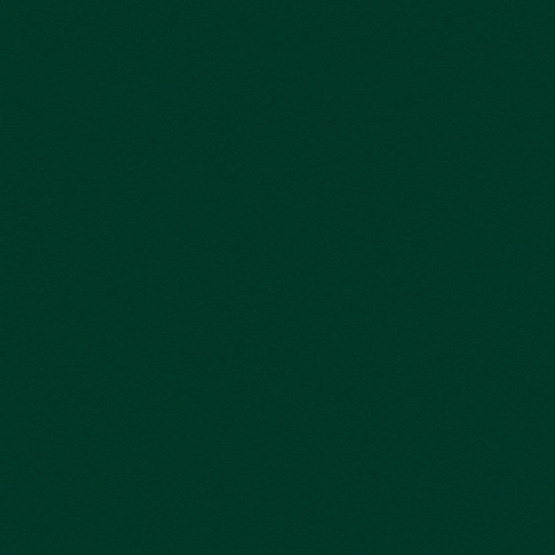 25 Pack My Colors Classic 80lb Cover Weight Cardstock 12"X12"-Forest Green T45514 - 699464195966