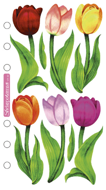 Sticko Vellum Stickers-Tulips SPVM30