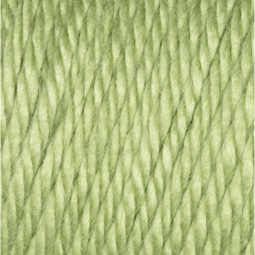 Caron Simply Soft Collection Yarn-Pistachio - H97COL-3