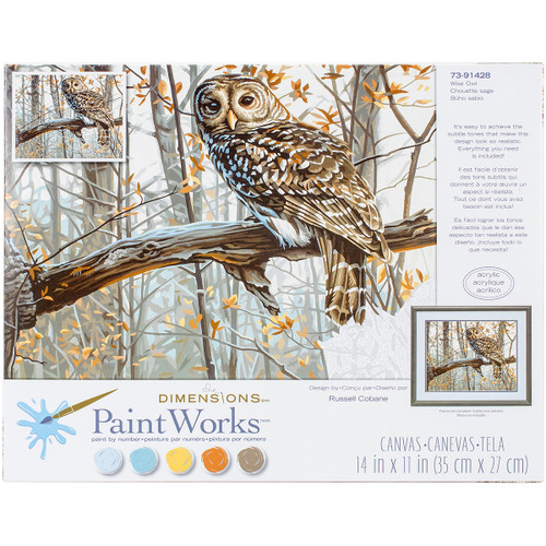 Paint Works Paint By Number Kit 14"X11"-Wise Owl 91428 - 088677914288
