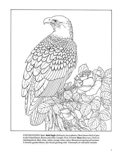 State Birds & Flowers Coloring Book-Softcover - B6264561 State Birds & Flowers Coloring Book-Softcover - B6264561