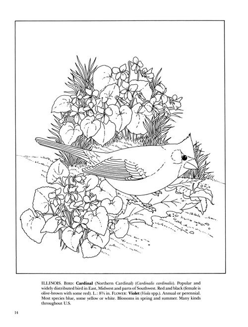 State Birds & Flowers Coloring Book-Softcover B6264561