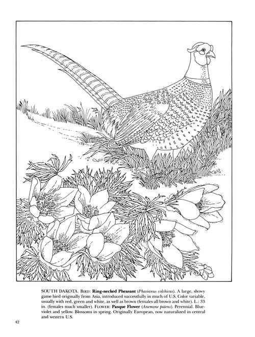 State Birds & Flowers Coloring Book-Softcover - B6264561 State Birds & Flowers Coloring Book-Softcover - B6264561