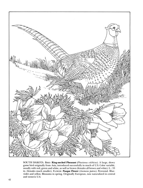 State Birds & Flowers Coloring Book-Softcover B6264561