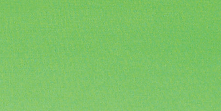 Pioneer Book Cloth Cover Post Bound Album 12"X12"-Citrus Green - MB10CB-FS/CG