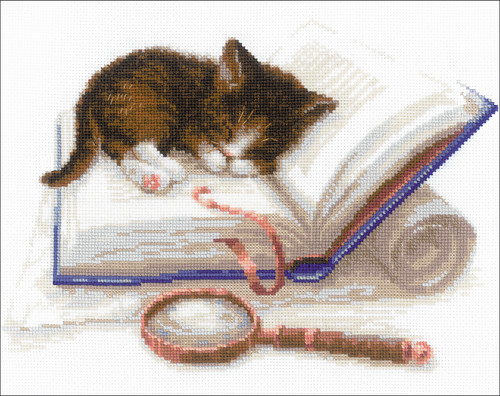 RIOLIS Counted Cross Stitch Kit 11.75"X9.5"-Kitten On The Booklet (14 Count) - R1725