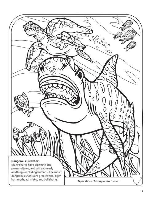 Sharks Coloring Book 3D-Softcover - B6484266