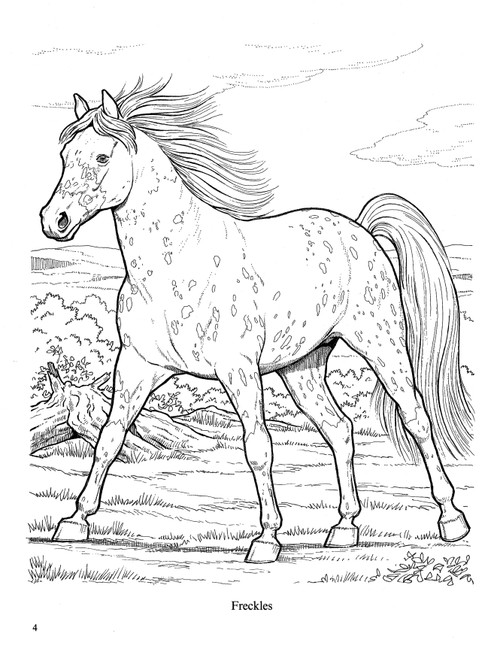 Wonderful World Of Horses Coloring Book-Softcover - B6444659 Wonderful World Of Horses Coloring Book-Softcover - B6444659