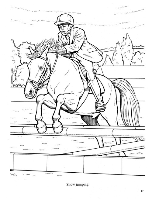 Dover Publications-Wonderful World Of Horses Coloring Book -DOV-44465