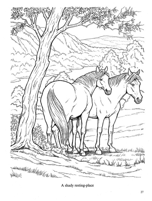 Wonderful World Of Horses Coloring Book-Softcover - B6444659