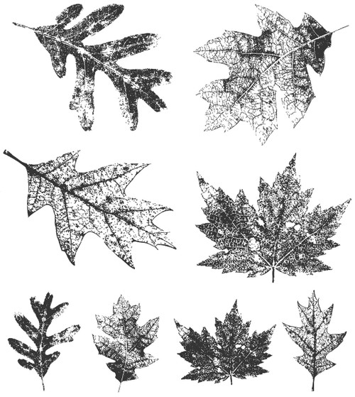 Tim Holtz Cling Stamps 7"X8.5"-Falling Leaves - CMS-097