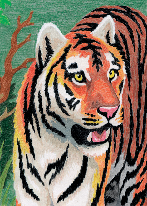 Mini Color Pencil By Number Kit 5"X7"-Jungle Tiger -CPNMIN-104