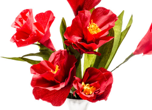 Lia Griffith Extra Fine Crepe Paper 10/Pkg-Enchanted Garden - LG11027 Lia Griffith Extra Fine Crepe Paper 10/Pkg-Enchanted Garden - LG11027