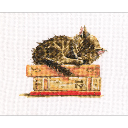 RTO Counted Cross Stitch Kit 7.75"X6.5"-Cat's Dream (14 Count) M642