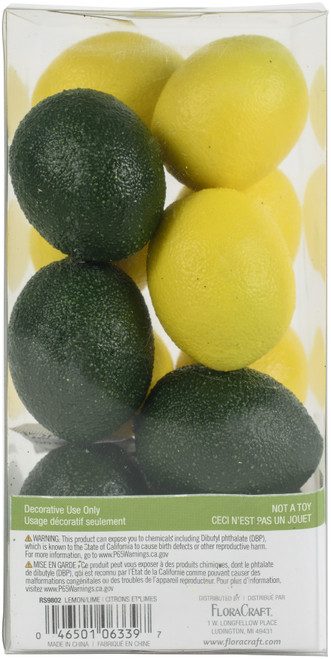 Floracraft Design It Simple Decorative Fruit 13/Pkg-Mini Lemons & Limes -RS9802