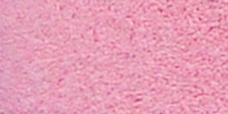 WOW! Embossing Powder 15ml-Pastel Pink - WOW-WM01R