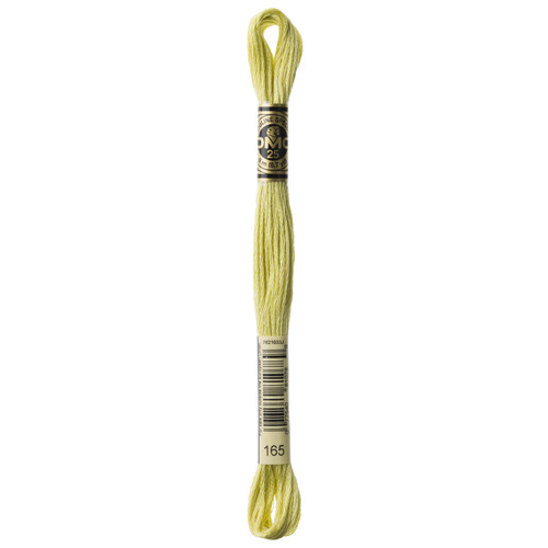 12 Pack - DMC 6-Strand Embroidery Cotton 8.7yd-Very Light Moss Green-Lighter than 3819 - 117-165 - 077540810789