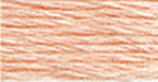 12 Pack - DMC 6-Strand Embroidery Cotton 8.7yd-Very Light Apricot-Lighter than 3824 - 117-967