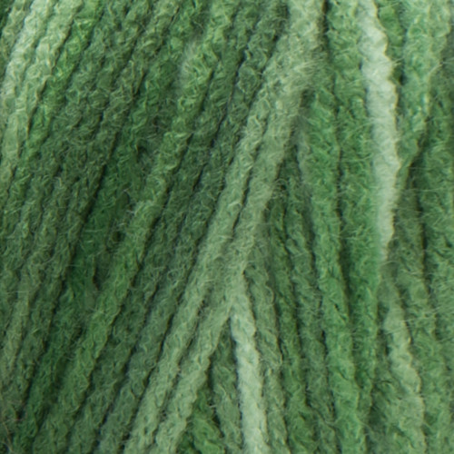 Red Heart Super Saver Yarn-Green Tones - E300B-629