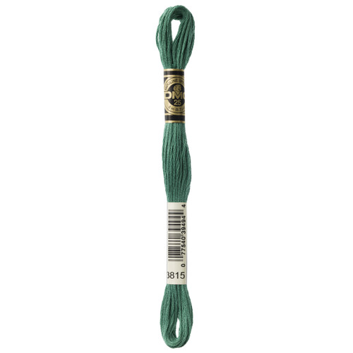 12 Pack - DMC 6-Strand Embroidery Cotton 8.7yd-Dark Celadon Green - 117-3815 - 077540394944
