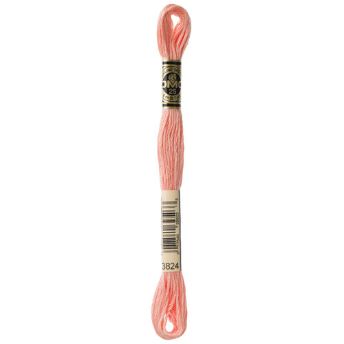 12 Pack - DMC 6-Strand Embroidery Cotton 8.7yd-Light Apricot - 117-3824 - 077540395033