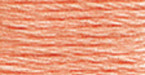 12 Pack - DMC 6-Strand Embroidery Cotton 8.7yd-Light Apricot - 117-3824