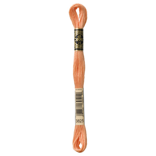 12 Pack - DMC 6-Strand Embroidery Cotton 8.7yd-Pale Pumpkin - 117-3825 - 077540395040