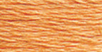12 Pack - DMC 6-Strand Embroidery Cotton 8.7yd-Pale Pumpkin - 117-3825