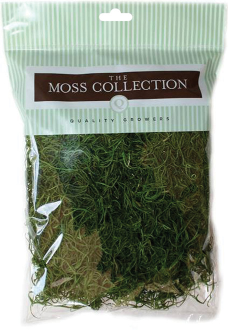 Quality Growers Preserved Spanish Moss 108.5 Cubic Inches-Apple Green QG1542 - 740657057049