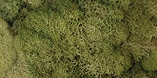 Quality Growers Preserved Reindeer Moss 108.5 Cubic Inches-Spring Green - QG2060