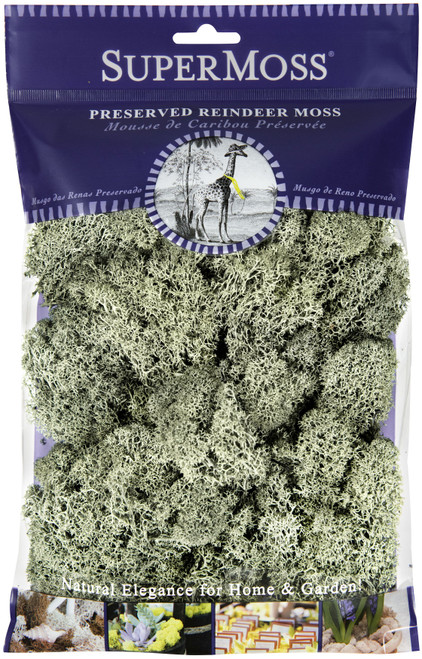 SuperMoss Preserved Reindeer Moss 2oz-Moss Green RM2-25116 - 759834251163