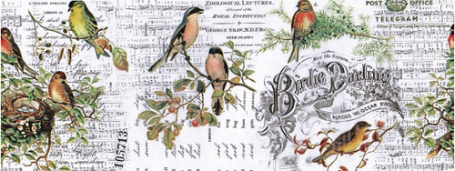 Idea-Ology Collage Paper 6"X6yds-Aviary - TH93706