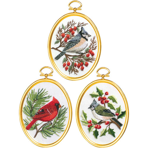 Janlynn Embroidery Kit 3"X4" Set of 3-Winter Birds-Stitched In Floss - 4-0861 Janlynn Embroidery Kit 3"X4" Set of 3-Winter Birds-Stitched In Floss - 4-0861