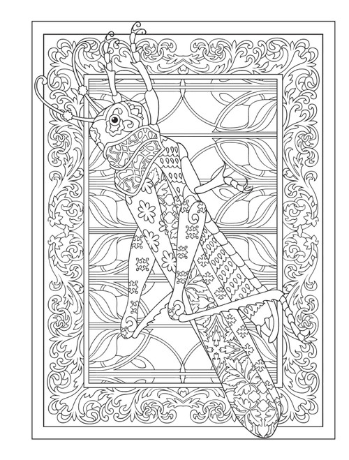 Creative Haven: Incredible Insect Design Coloring Book-Softcover - B6494999 Creative Haven: Incredible Insect Design Coloring Book-Softcover - B6494999