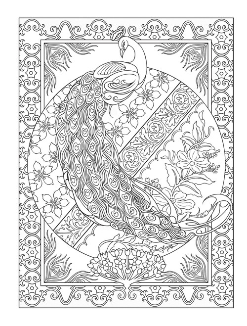 Creative Haven: Peacock Designs Coloring Book-Softcover B6779966